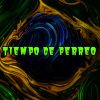 Download track Perreo Brasilero