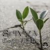 Download track Shades Of Past (Shivva Remix)