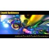 Download track Liquid Ambience (August 2012)