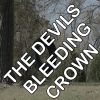 Download track The Devil's Bleeding Crown - Tribute To Volbeat (Instrumental)