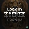Download track Look In The Mirror