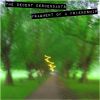 Download track The Decent Descendants - Every Single Day