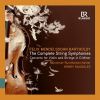 Download track Mendelssohn: String Symphony No. 8 In D Major, MWV N 8: II. Adagio