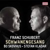 Download track Schwanengesang, D. 957: No. 3, Frühlingssehnsucht