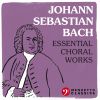 Download track Weihnachtsoratorium, BWV 248, Pt. VI: No. 64. 
