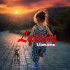 Download track Llamame