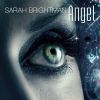 Download track Angel