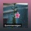 Download track Sommerregen