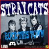 Download track Stray Cat Strut (Live)