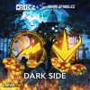Download track Dark Side (Extended Mix)