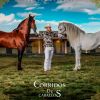 Download track El Corrido Del Caballo Blanco