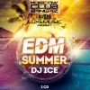 Download track EDM Summer 2014 [CD1]