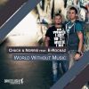 Download track World Without Music (San Danielle Pres. Doubled Vocal Edit)