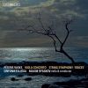 Download track Concerto For Viola & String Orchestra II. Allegro Moderato