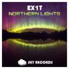 Download track Northern Light (Original Mix)