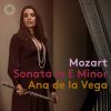 Download track Violin Sonata No. 21 In E Minor, K. 304 (Arr. For Flute & Piano) II. Tempo Di Menuetto