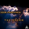 Download track Song Of The Storm (Radio Mix)