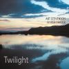 Download track Twilight