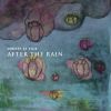 Download track After The Rain (Live)