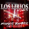 Download track Salsipuedes / La Cosechita / El Uepahey (Show En Vivo En Casa De Bicentenario, Las Parejas, Santa Fé)