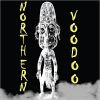 Download track Voodoo Love