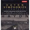 Download track Symphony No. 45 In F Sharp Minor 'Abschiedssymphonie' - IV Finale, Presto-Adagio