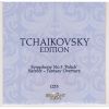 Download track Symphony No. 3 In D Major, 'Polish', Op. 29 - IV. Scherzo. Allegro Vivo