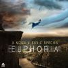 Download track Euphoria (Original Mix)