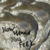 Download track How Would You Feel