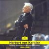 Download track Johann Strauss II - Die Fledermaus - Ouvertüre