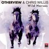 Download track Wild Horses (Radio Edit)