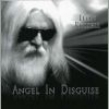 Download track Angel In Disguise