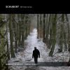 Download track Die Winterreise D 911: 19. Täuschung