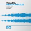 Download track Winds Of Knuckles (Edvard Hunger Remix)
