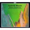 Download track 3. Symphony No. 2 In D Major Op. 73 - III. Allegretto Grazioso Quasi Andantino...