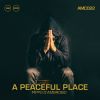 Download track A Peaceful Place