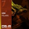 Download track Polaris (Extended Mix)