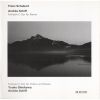 Download track Fantasia For Violin & Piano In C Major ('Sei Mir Gegrüsst! '), D. 934 (Op. Posth. 159)