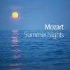 Download track Mozart- Adagio For Violin And Orchestra In E Major, K. 261