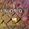 Download track Indigo (Ferry Tayle & Stephen R Remix)