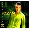 Download track Zalimsin