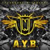Download track AYB (Radio Edit)