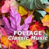 Download track Flute Sonata In E-Flat Major, BWV 1031 J. S. Bach Flute Sonata In E-Flat Major, BWV 1031 - II. Siciliano (Transc. Wilhelm Kempff For Piano)