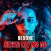 Download track Never Let Me Go (Extended Mix)
