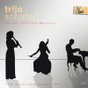 Download track Trio Sonata In F Major, TWV 42: F3 (Arr. Tr! Jo For Recorder, Viola Da Gamba & Continuo): III. Allegro