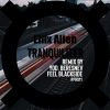 Download track Tranquilizer (Original Mix)