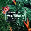 Download track Wankelmoods Vol 3 (Continuous Mix)