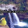 Download track Naturaleza Y Relajación