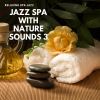 Download track Nature Sounds - Reiki Healing (SPA Jazz Music)