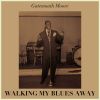 Download track Walking My Blues Away